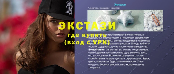 мдпв Туринск