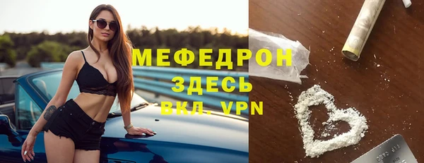 мдпв Туринск