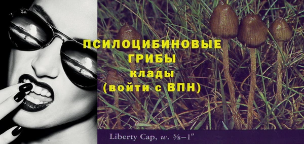 ПСИЛОЦИБИНОВЫЕ ГРИБЫ Тында