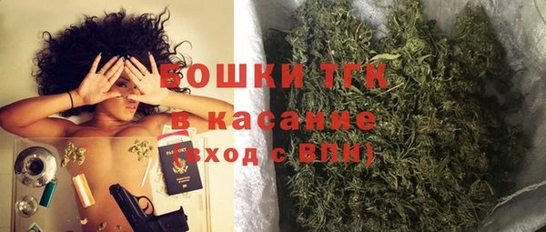 мдпв Туринск