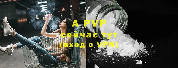 ПСИЛОЦИБИНОВЫЕ ГРИБЫ Тында