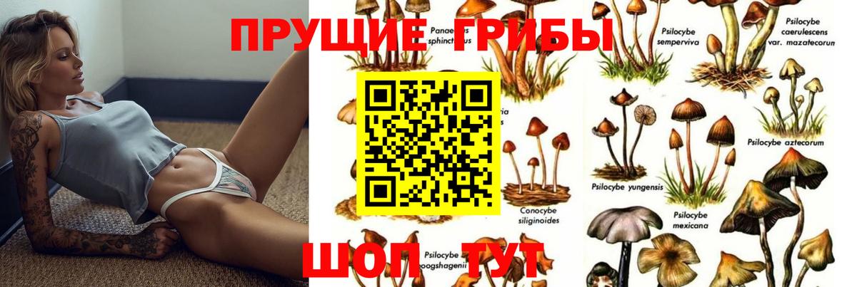 Оренбург  Псилоцибиновые грибы Magic Shrooms  Псилоцибиновые грибы GOLDEN TEACHER  Вход с VPN 
